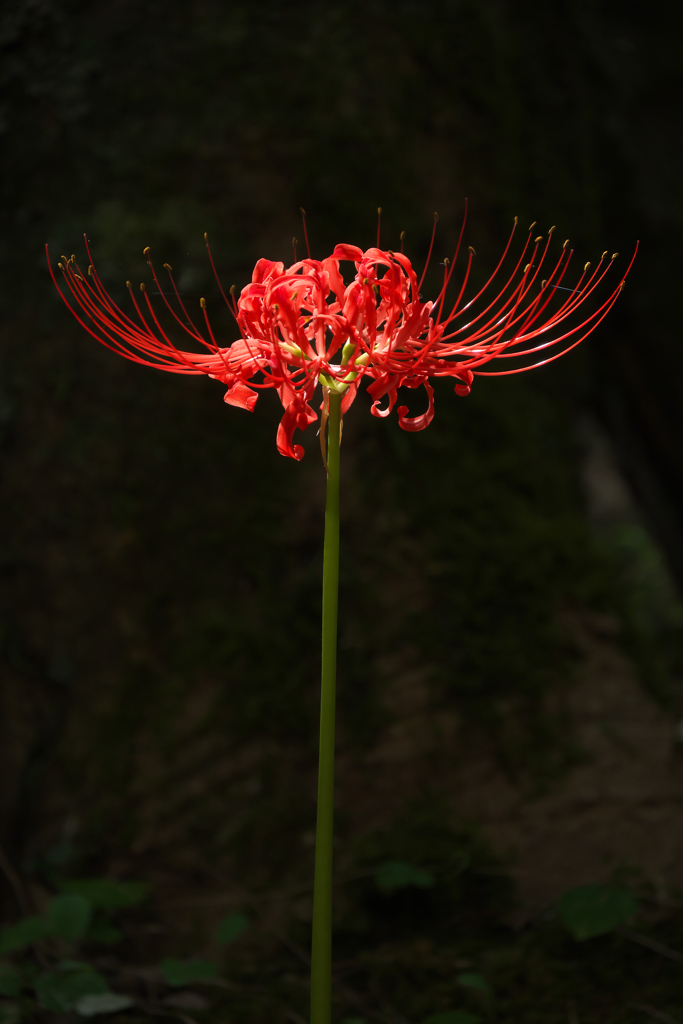 P1090425