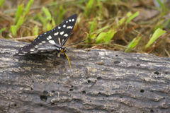 P1080597