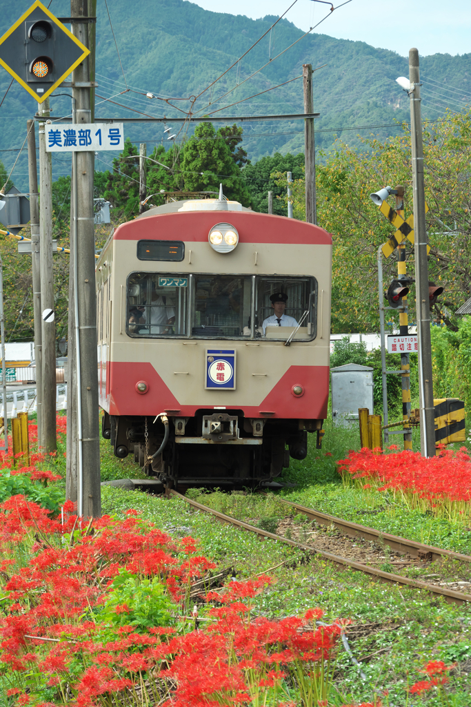 ローカル線の風景