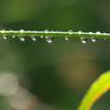 雨☆彡