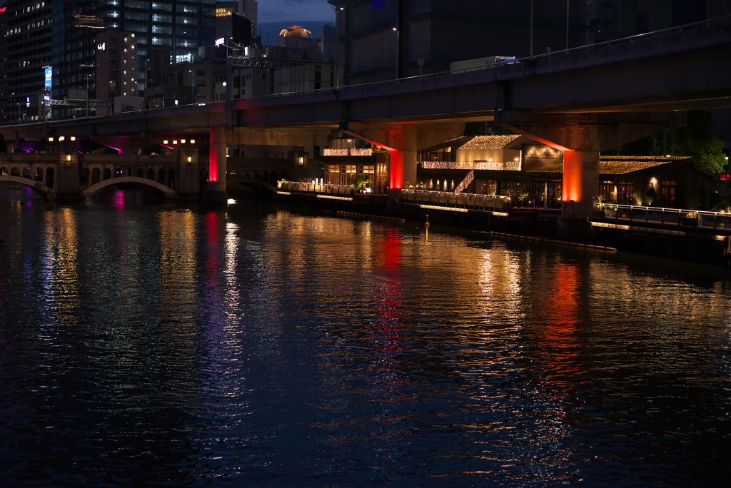 Night in Osaka ⑤