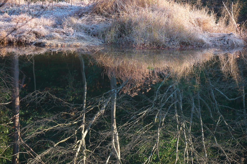自然のアルバム③☆彡