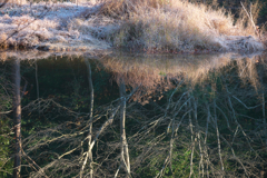 自然のアルバム③☆彡