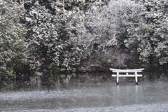 初雪☆彡