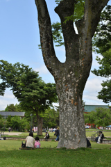 ぶらり京②