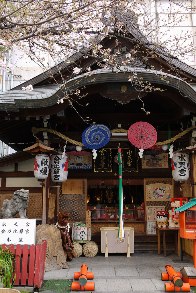 ぶらり大阪 (ソメイヨシノ咲き始め）