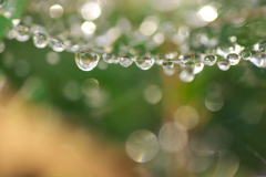 雨☆彡