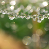 雨☆彡