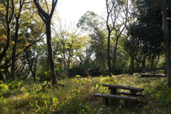 晩秋の陣ケ下渓谷公園