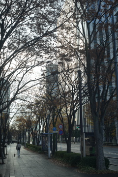 みなとみらい散歩　