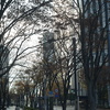 みなとみらい散歩　