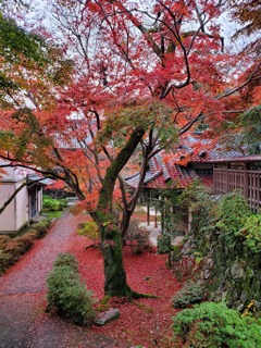 松尾寺