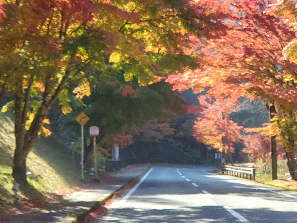 紅葉