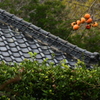 柿のある風景
