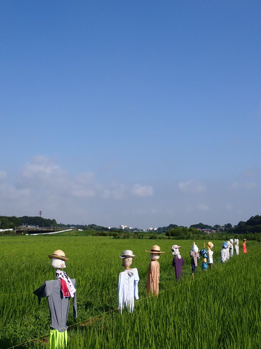 今日も暑いっすねぇ