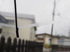 雨の日の傘