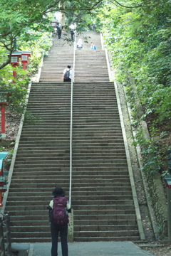 男坂