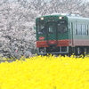 真岡鉄道（もおか）