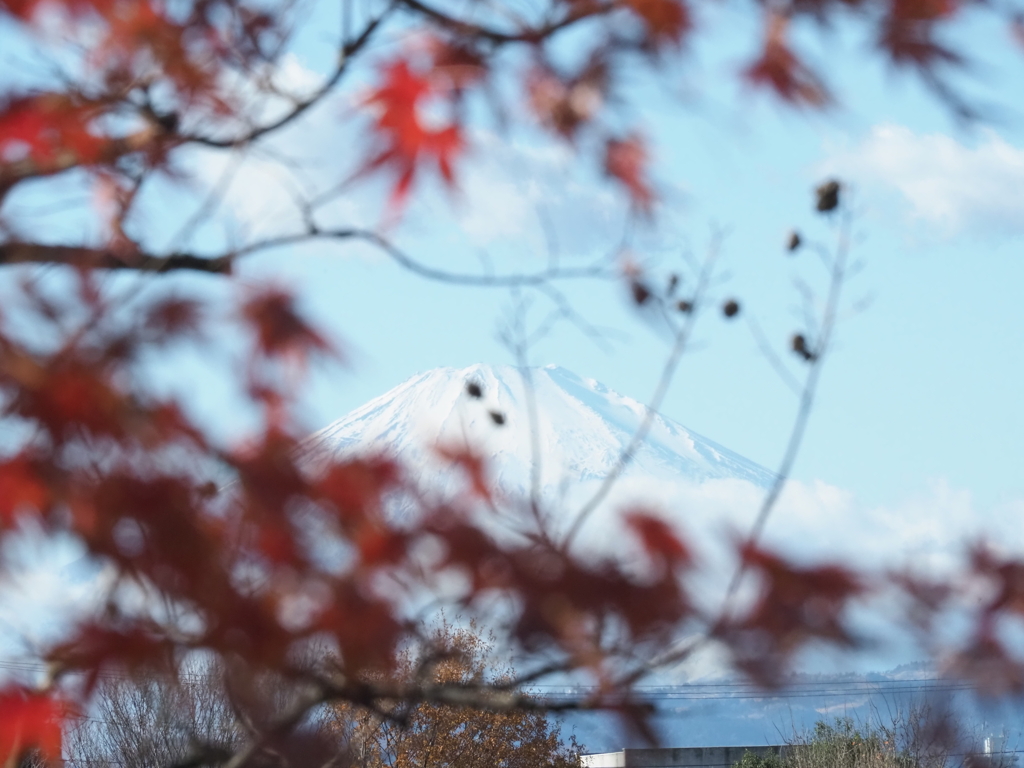 富士山　2