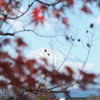 富士山　2