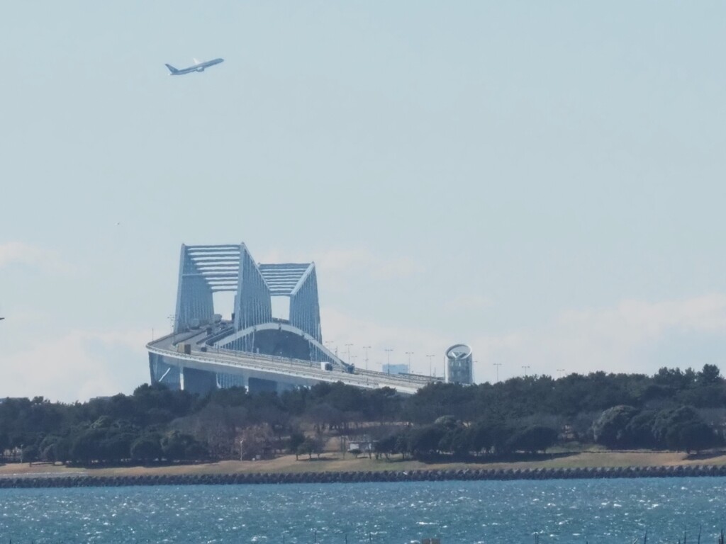 ゲートブリッジと飛行機
