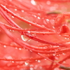 水滴　2