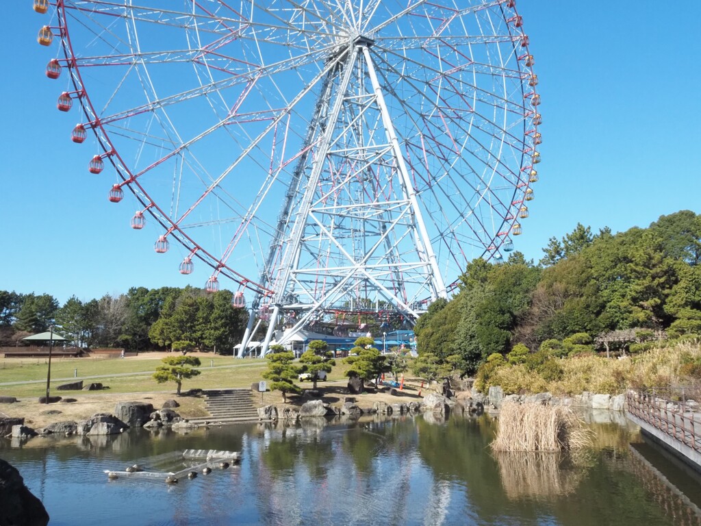 大観覧車