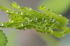 水滴