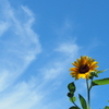 空へ