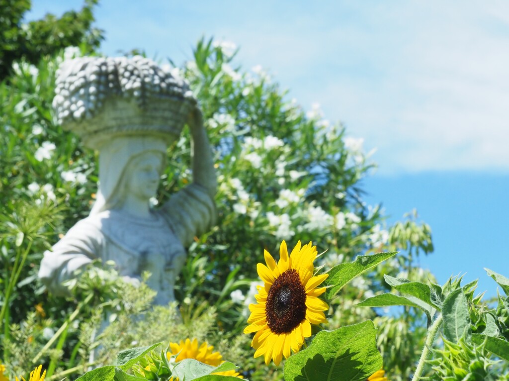 収穫の女神様