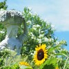 収穫の女神様