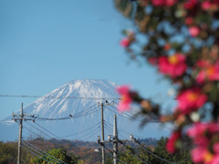 富士山　3