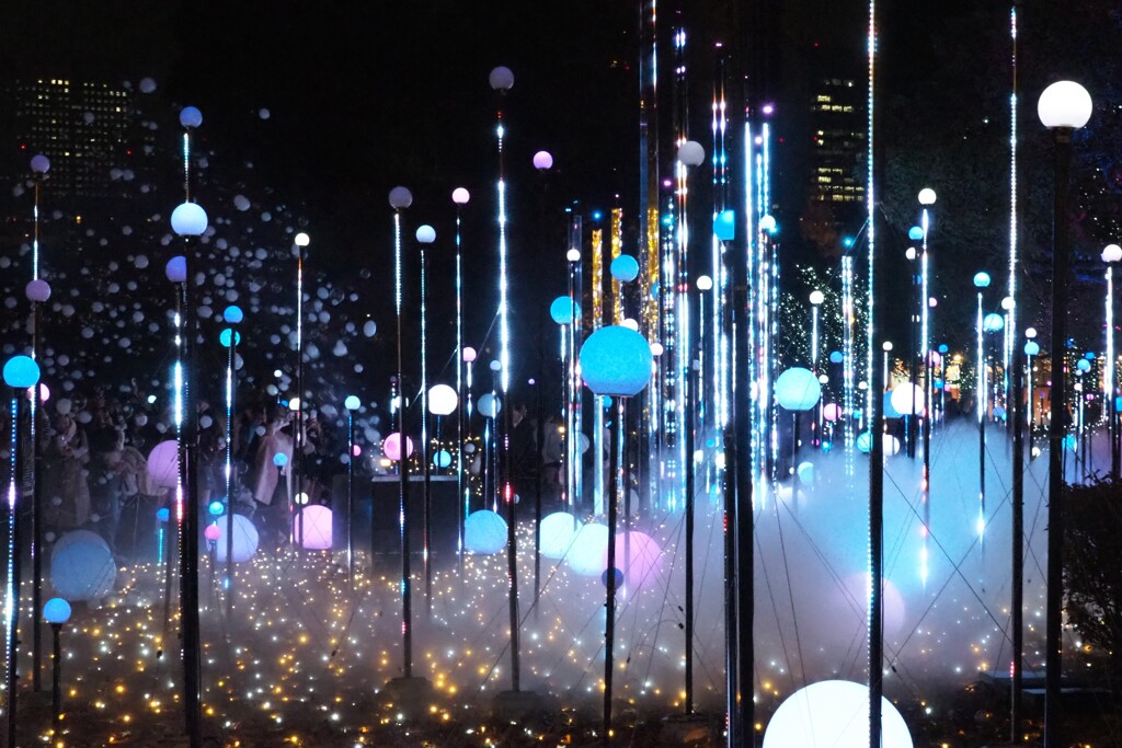 六本木イルミ