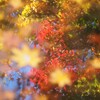 映り込み 3