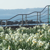 波