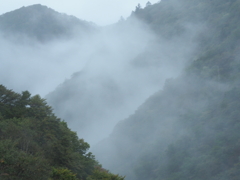霧