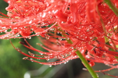 水滴　1