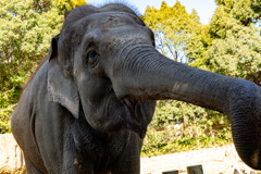 到津の森公園