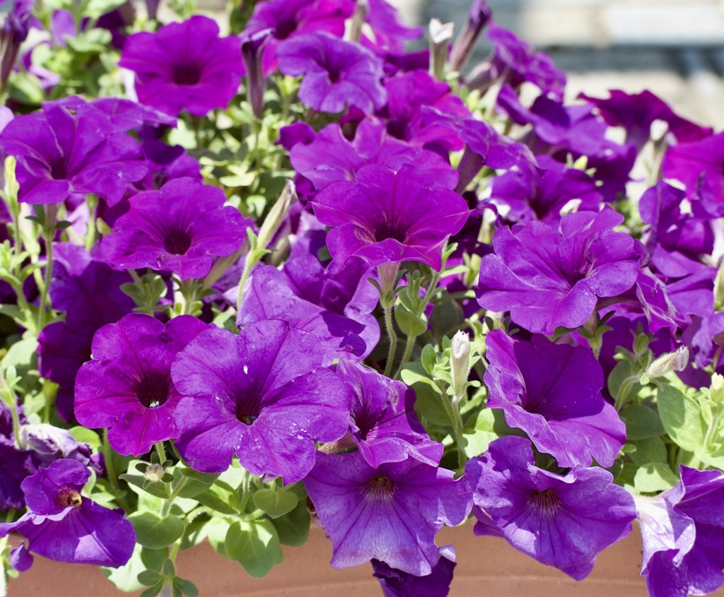 グリーンパークにて