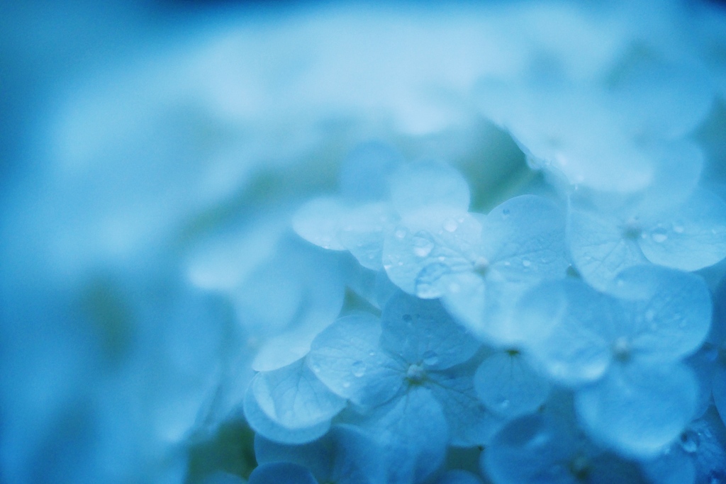 雨上り