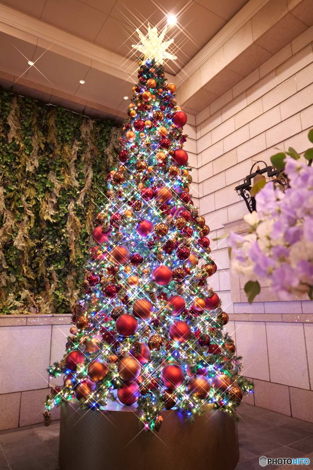 クリスマス・ツリー