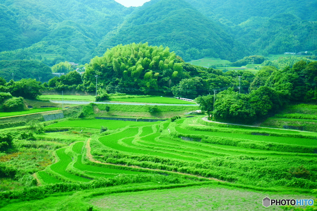 棚田