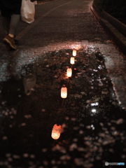 水面に映る夜桜