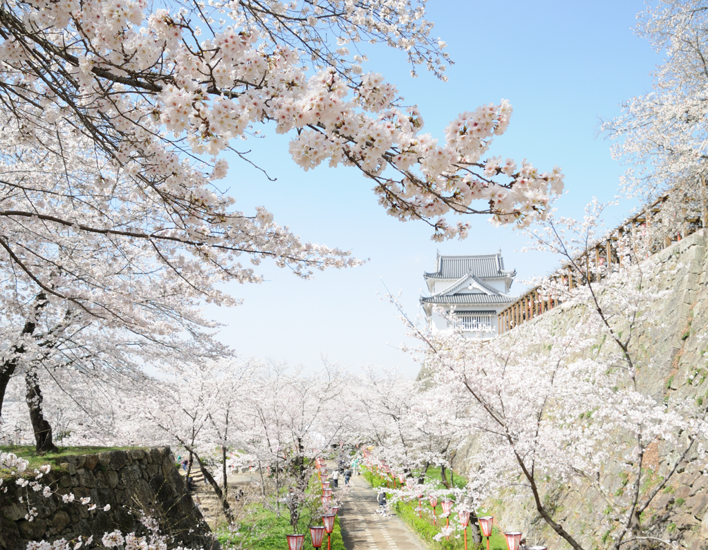 津山さくらまつり