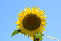 夏!!!