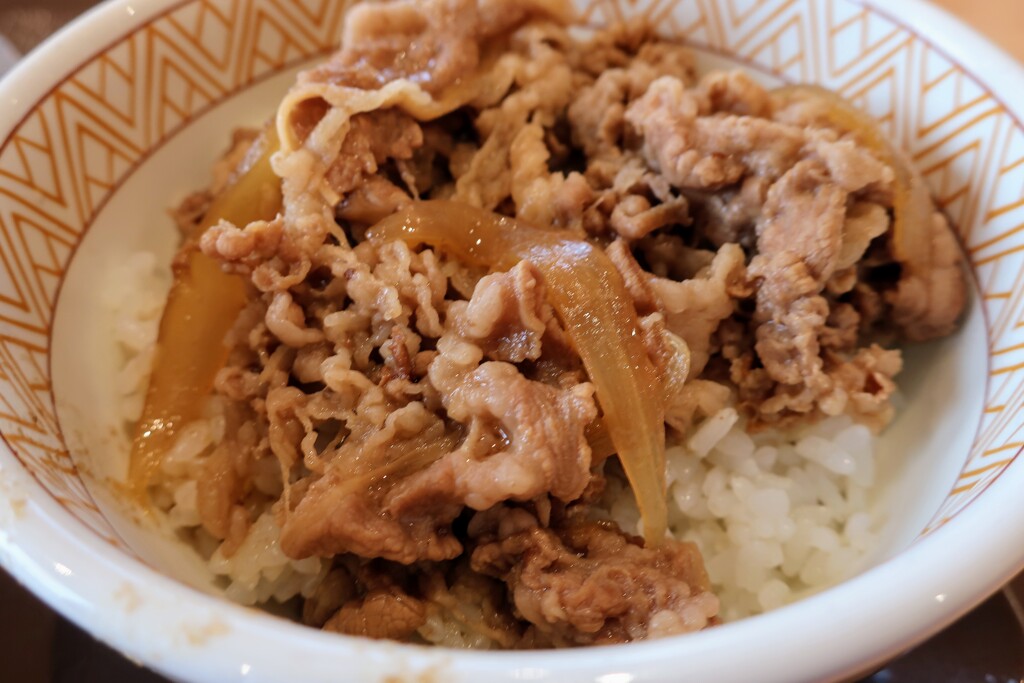 牛丼
