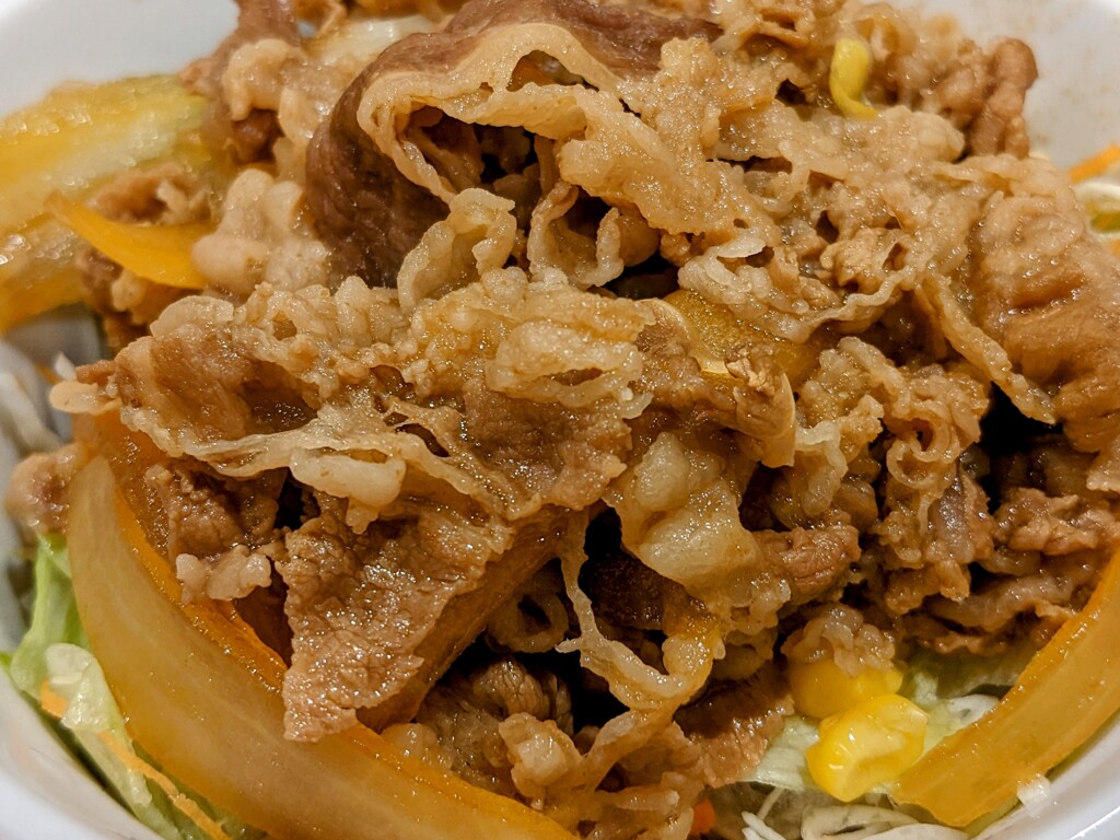 ライト牛丼