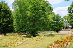 フラワーセンターの一角