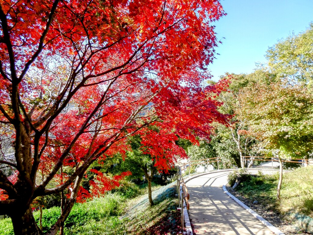 遊歩道