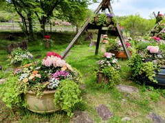 フラワーセンターの一角